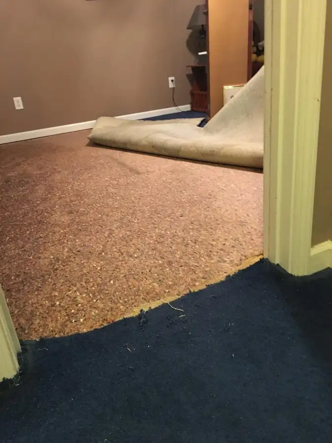 Carpet pad removal revealing water damage during Drying & Dehumidification in Port Isabel