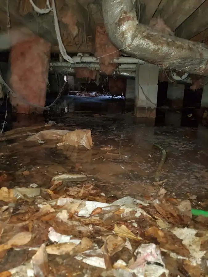 Crawl space flood assessment for Leak Detection & Repair in Port Isabel